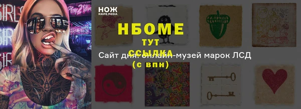 прущие грибы Нестеровская