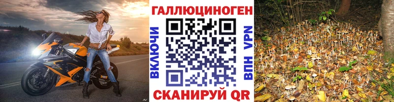 Галлюциногенные грибы Magic Shrooms Ростов