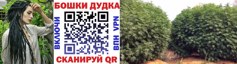 Каннабис White Widow Ростов